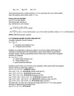 Paraugs 'Ģeotehnikas pamatkurss', 10.