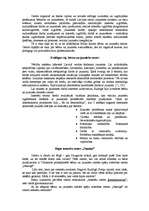 Referāts 'Interešu centri', 4.