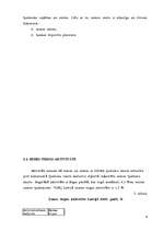 Referāts 'Zemes tirgus', 8.