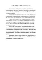 Eseja 'Izvēles situācija ir cilvēka brīvības izpausme', 1.