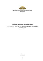 Eseja 'Skolotāja loma skolēna publiskās runas veidošanā', 1.