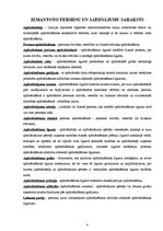 Referāts 'Pētījums par dzīvības apdrošināšanas tirgu Latvijā', 4.