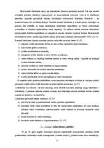 Referāts 'Politika un politiskās ideoloģijas', 11.