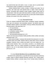 Referāts 'Politika un politiskās ideoloģijas', 13.