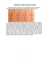 Referāts 'Optika', 9.