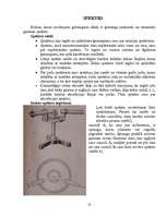 Referāts 'Optika', 13.