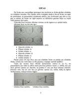 Referāts 'Optika', 15.