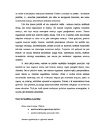 Referāts 'Stresa menedžments', 3.