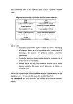 Konspekts 'Vispārinošs konspekts par uzņēmējdarbību Latvijā', 6.