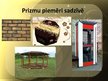 Prezentācija 'Sadzīvē sastopamās prizmas', 6.
