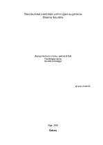 Konspekts 'Aizspriedumi mūsu sabiedrībā', 1.