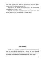 Referāts 'Aperitīva dzērieni - rums', 10.