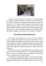 Referāts 'Aperitīva dzērieni - rums', 12.