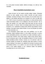 Referāts 'Aperitīva dzērieni - rums', 13.