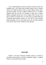 Referāts 'Aperitīva dzērieni - rums', 14.