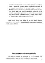 Referāts 'Aperitīva dzērieni - rums', 16.