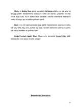 Referāts 'Aperitīva dzērieni - rums', 17.