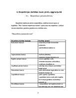 Biznesa plāns 'Ekspeditori', 15.