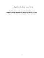 Biznesa plāns 'Ekspeditori', 18.