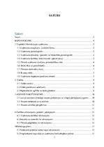 Biznesa plāns 'Biznesa plāns par ēdināšanas uzņēmumu', 2.