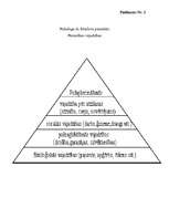 Referāts 'Humānā pedagoģija', 1.