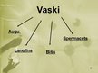 Prezentācija 'Lipīdi, fosfolipīdi un to nozīme dzīvajā organismā.', 21.