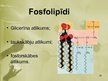 Prezentācija 'Lipīdi, fosfolipīdi un to nozīme dzīvajā organismā.', 26.