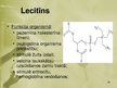 Prezentācija 'Lipīdi, fosfolipīdi un to nozīme dzīvajā organismā.', 29.