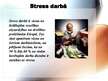 Prezentācija 'Stress dzīves jomās', 6.