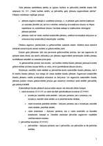 Konspekts 'Gada pārskats budžeta iestādēs', 2.