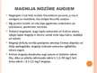 Prezentācija 'Magnijs', 12.