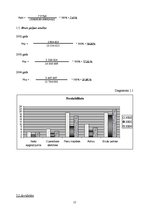 Referāts 'AS "Diena" finanšu analīze', 15.