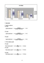 Referāts 'AS "Diena" finanšu analīze', 17.