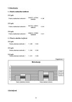 Referāts 'AS "Diena" finanšu analīze', 21.