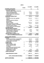 Referāts 'AS "Diena" finanšu analīze', 29.