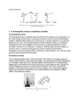 Konspekts 'Inženiermateriālu struktūra un īpašības', 4.