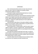 Diplomdarbs 'Bīstamo kravu termināla projektēšana uzņēmuma darbības efektivitātes paaugstināš', 1.