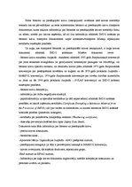 Diplomdarbs 'Bīstamo kravu termināla projektēšana uzņēmuma darbības efektivitātes paaugstināš', 15.