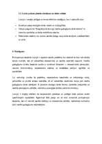 Eseja 'Pirmspensijas bezdarbs kā sociālā problēma Latvijā', 8.