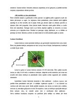 Referāts 'Civilā aizsardzība', 5.