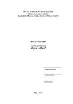 Referāts 'Papīrfabrikas SIA "Līgatne" analīze', 1.