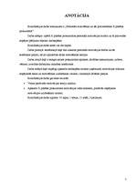 Diplomdarbs 'Personāla motivēšana un tās pilnveidošana X pilsētas prokuratūrā', 3.