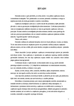 Diplomdarbs 'Personāla motivēšana un tās pilnveidošana X pilsētas prokuratūrā', 5.