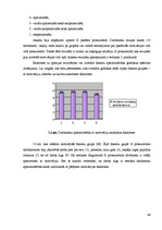 Diplomdarbs 'Personāla motivēšana un tās pilnveidošana X pilsētas prokuratūrā', 44.