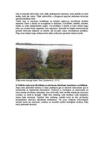 Prakses atskaite 'Otrā studiju gada profesionālā kvalifikācijas prakse "Vides pārvaldība"', 26.