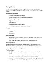 Konspekts 'Brūce', 1.