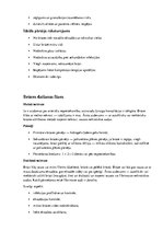 Konspekts 'Brūce', 3.