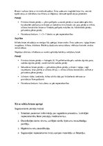 Konspekts 'Brūce', 5.