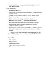 Konspekts 'Brūce', 6.