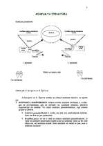 Referāts 'Konflikti grupā, to cēloņi un sekas', 8.